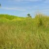 Couva Agricultural Land, 2 Acres3 (1)