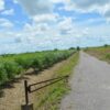 Couva Agricultural Land, 2 Acres6 (2)