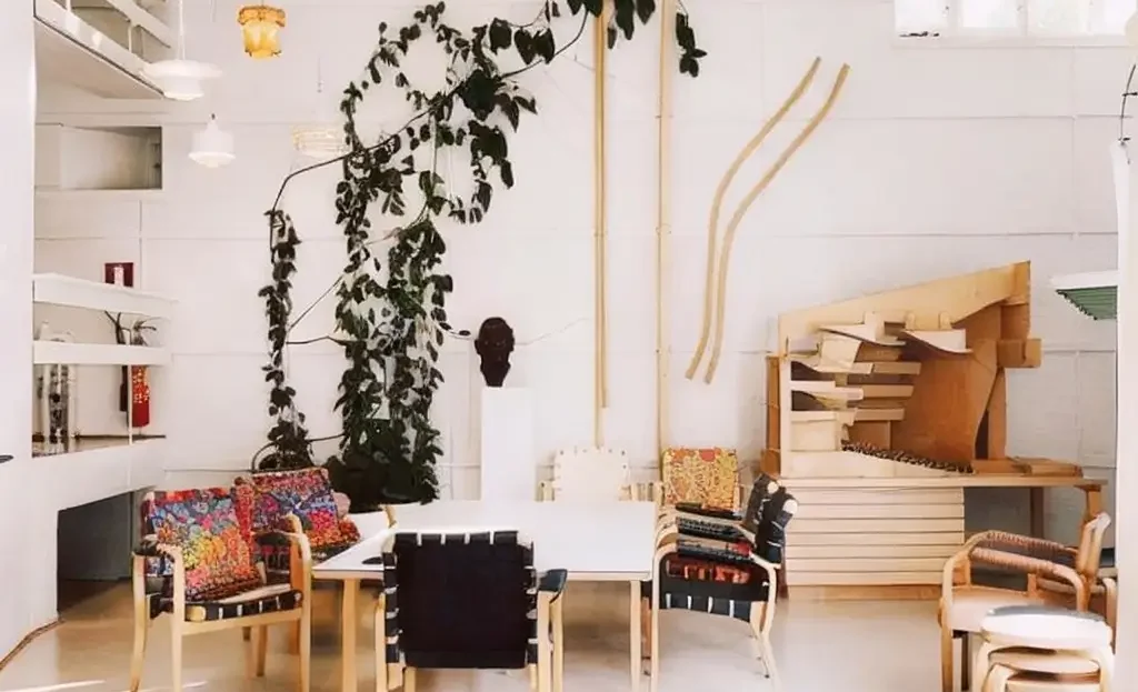video image
