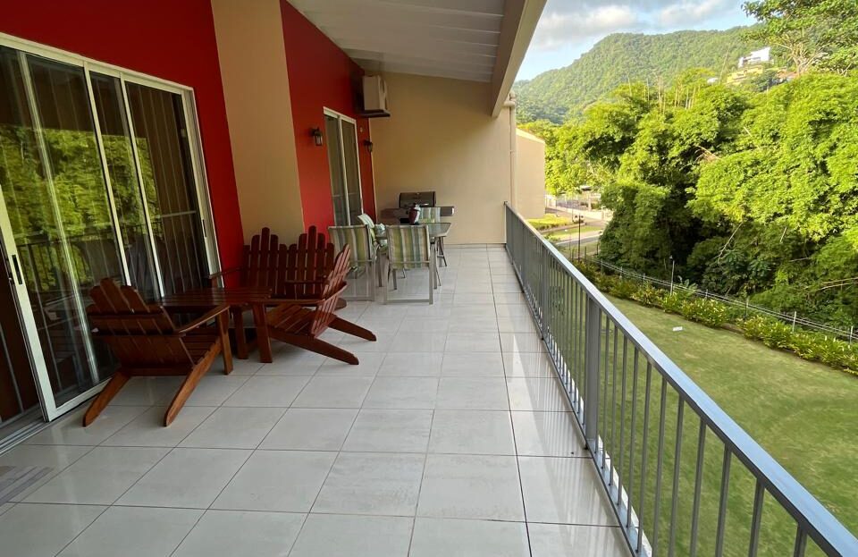 video image