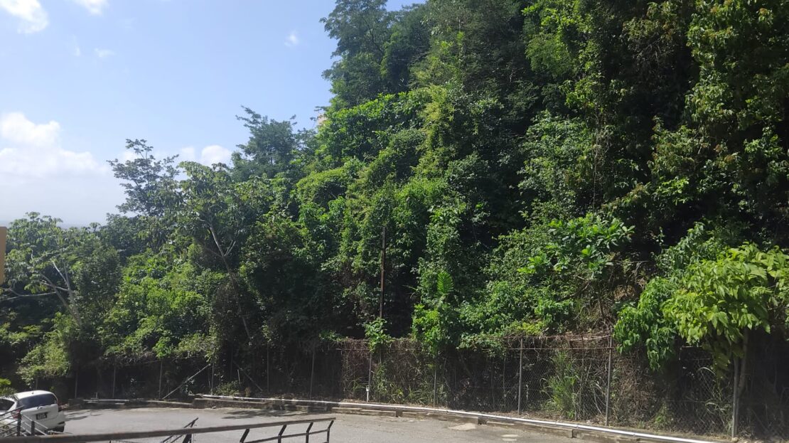 video image