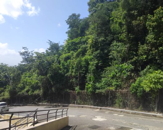 🌿 LAND FOR SALE – GLENCOE 🌿