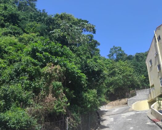 🌿 LAND FOR SALE – GLENCOE 🌿