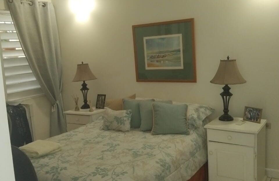 video image