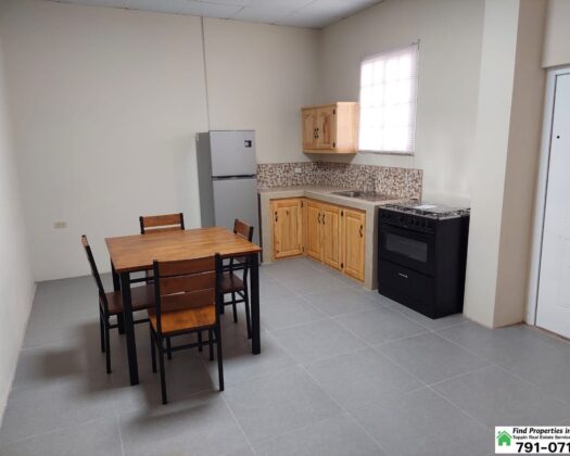 APARTMENT FOR RENT IN LONGDENVILLE – Ground Floor 1 Bedroom, 2 Bathrooms, Semi-Furnished