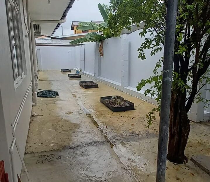 video image