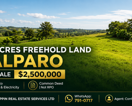 5.6 Acres Freehold Land For Sale in Talparo