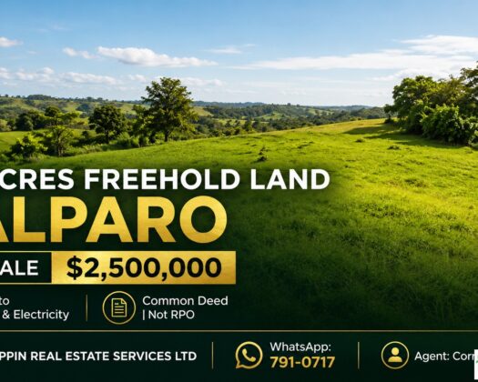 5.6 Acres Freehold Land For Sale in Talparo
