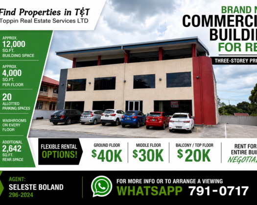 COMMERCIAL BUILDING FOR RENT – Brand New Three-Storey, Approx. 12,000 Sq. Ft.