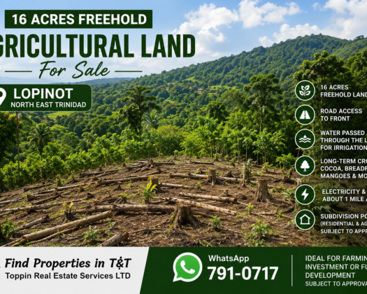 16 Acres Freehold Agricultural Land for Sale – Lopinot – TT$1.5M