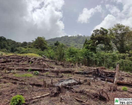 16 Acres Freehold Agricultural Land for Sale – Lopinot – TT$1.5M