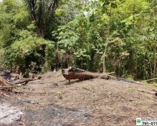 16 Acres Freehold Agricultural Land for Sale – Lopinot – TT$1.5M