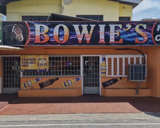 Commercial Property for Rent in Arouca – $12,000